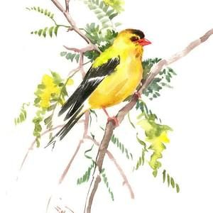 Meet your Posher, Jacqueline